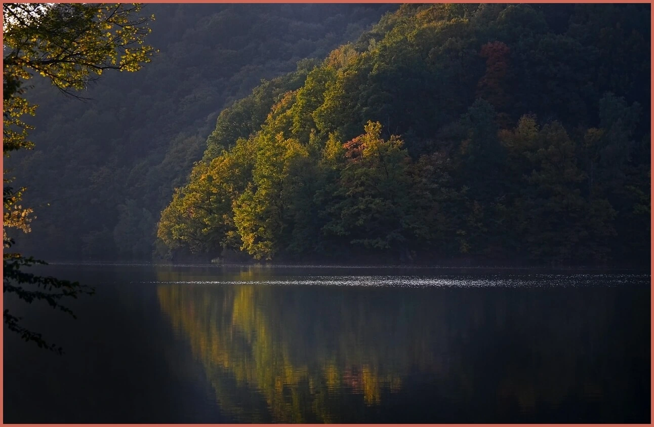 정기예금 금리 가장 높은곳