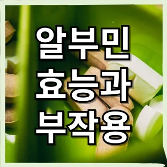 알부민 영양제 효능 알아보기 복용법 부작용_17