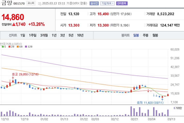 금양 주가 (0313)