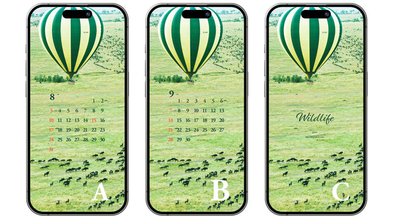 09 윌드비스트 무리 ABC - 2025년8월 아이폰배경화면