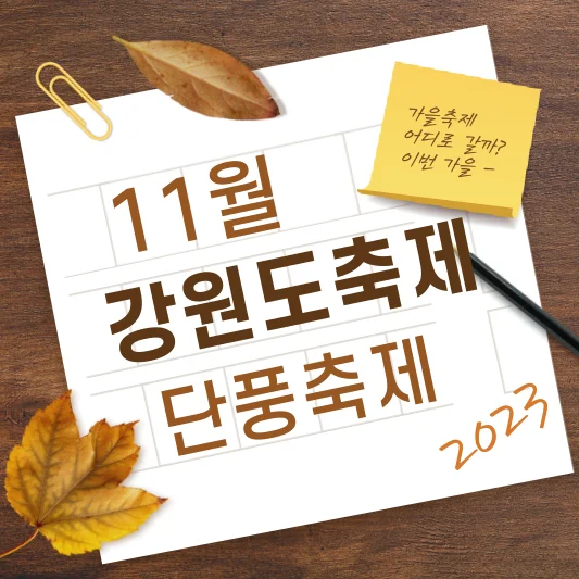 2023년 11월 강원도축제