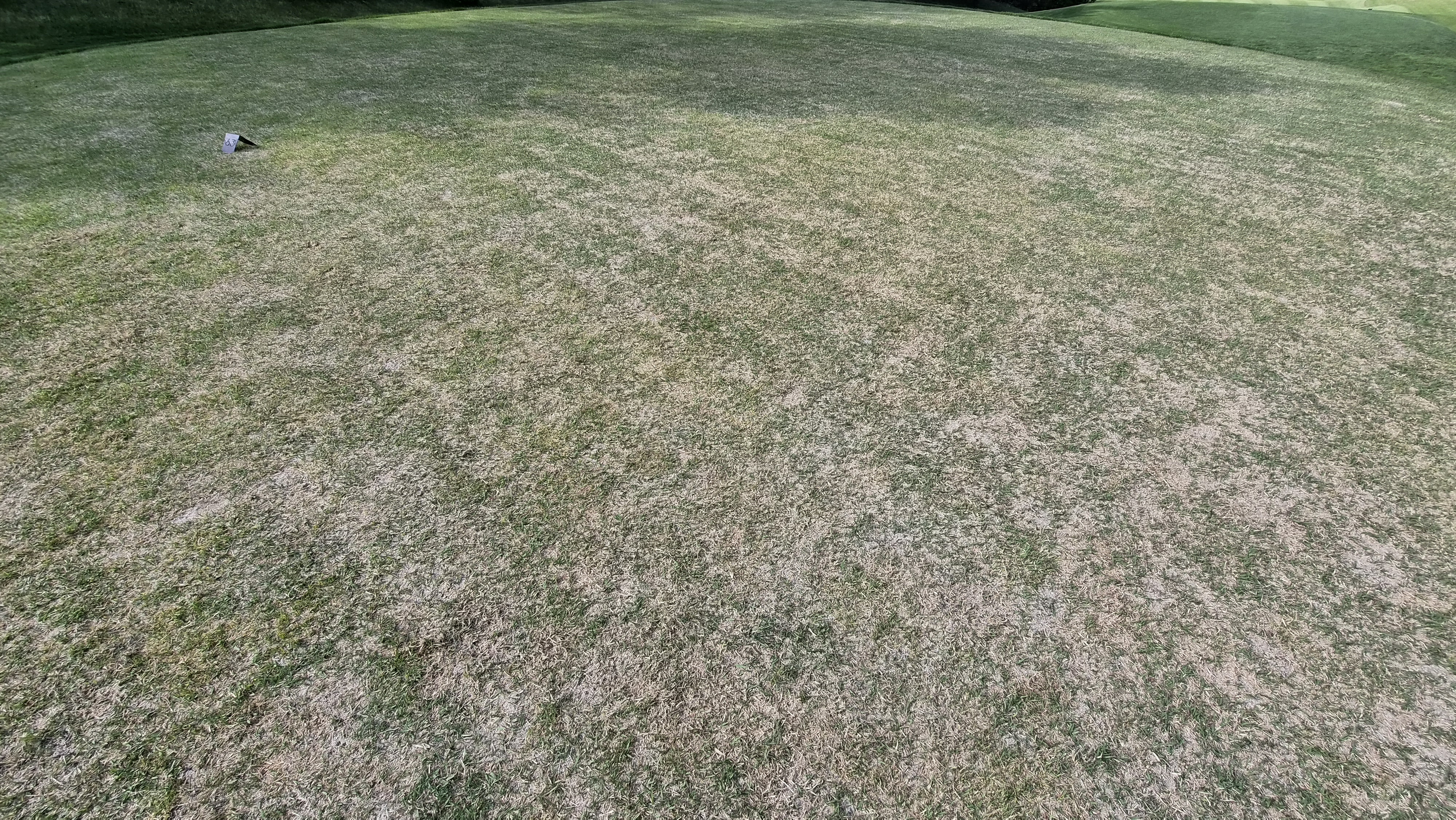 360도cc 티잉구역 상태