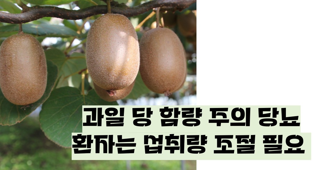 키위 효능 부작용