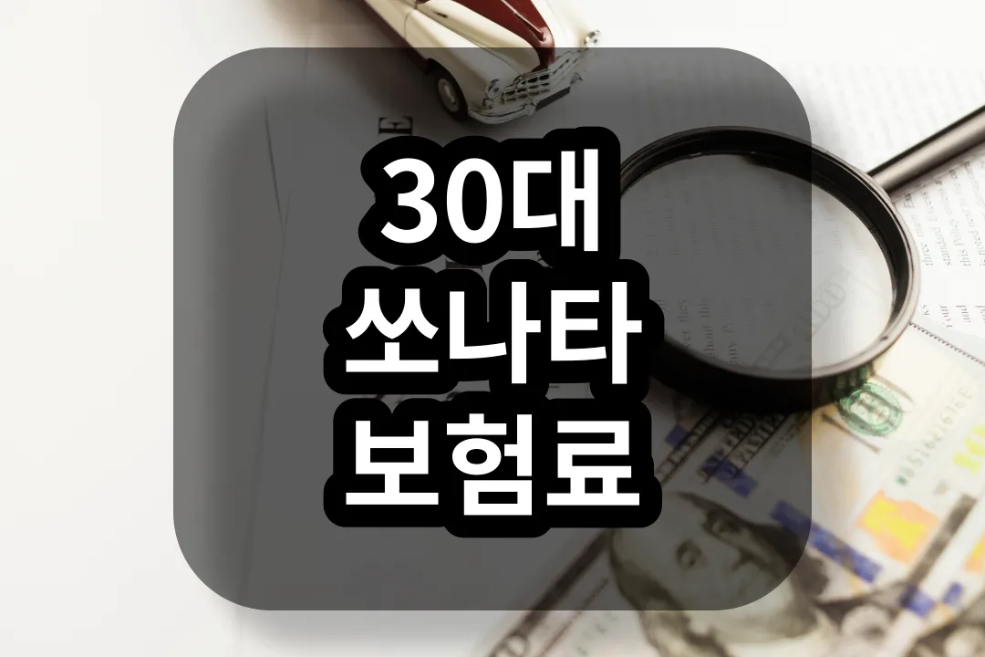 30대 쏘나타 보험료