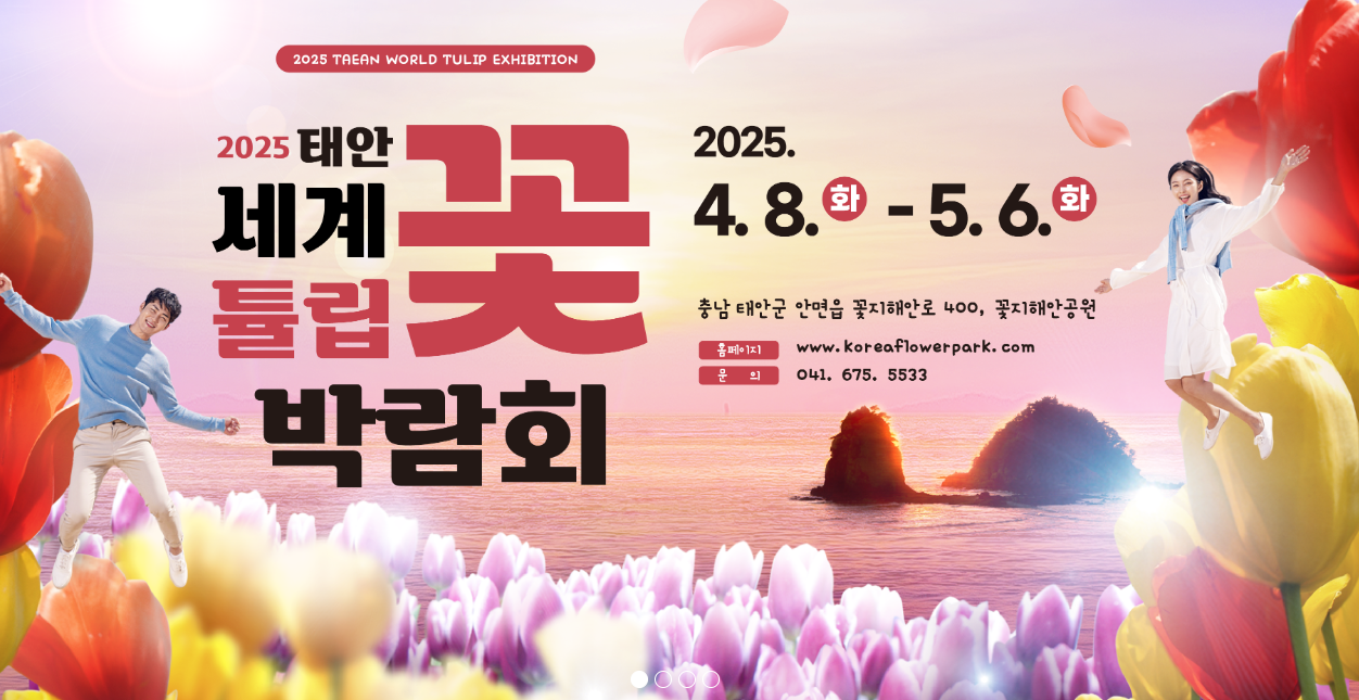 생방송투데이 태안 3GO여행 태안세계튤립꽃박람회 독살체험 우럭젓국 간장게장 꽃지해수욕장 낙조