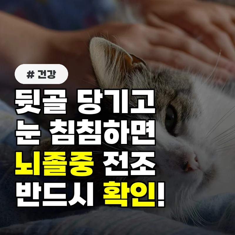 뒷골 당기고 눈 침침...뇌졸중 전조증상인지 반드시 확인하세요