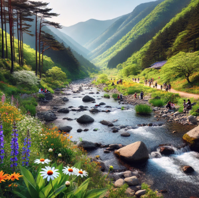 디지털 관광주민증