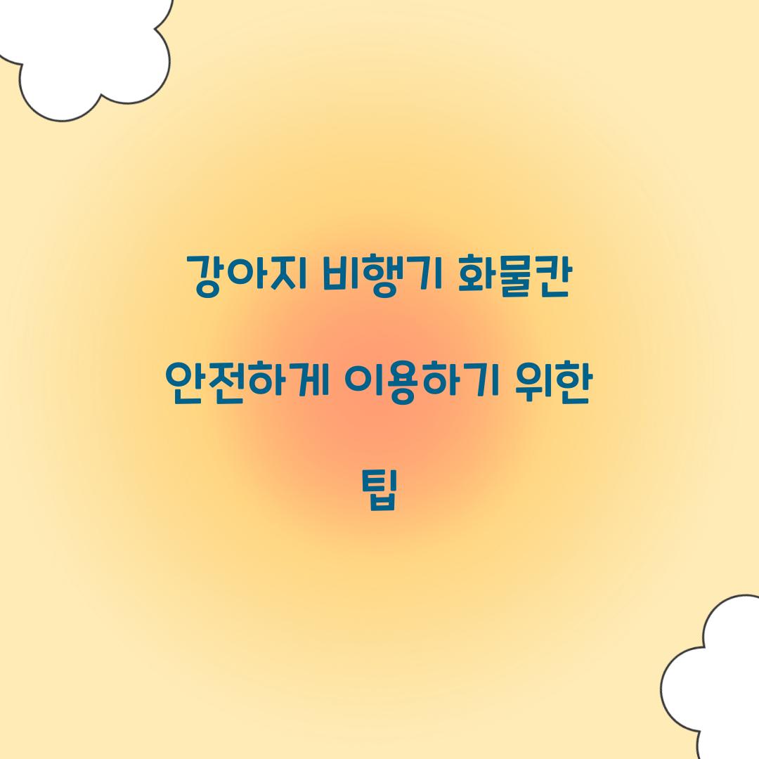 강아지 비행기 화물칸