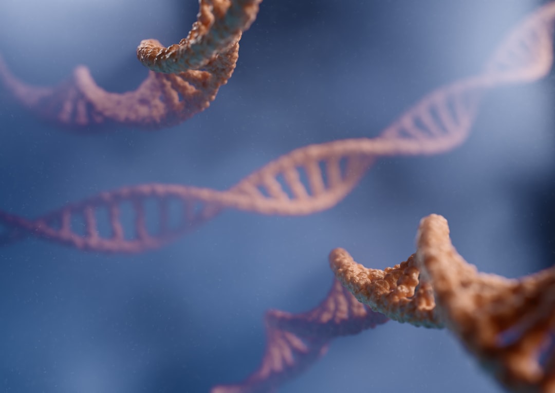 Chromosome