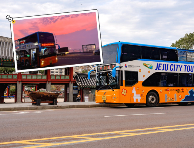 제주 교차로신문