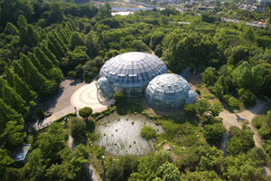 물방울온실