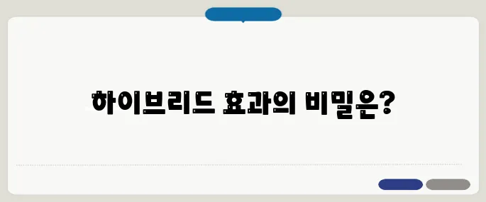 그랑 콜레오스 하이브리드 효과 빠르게 해결하는 법