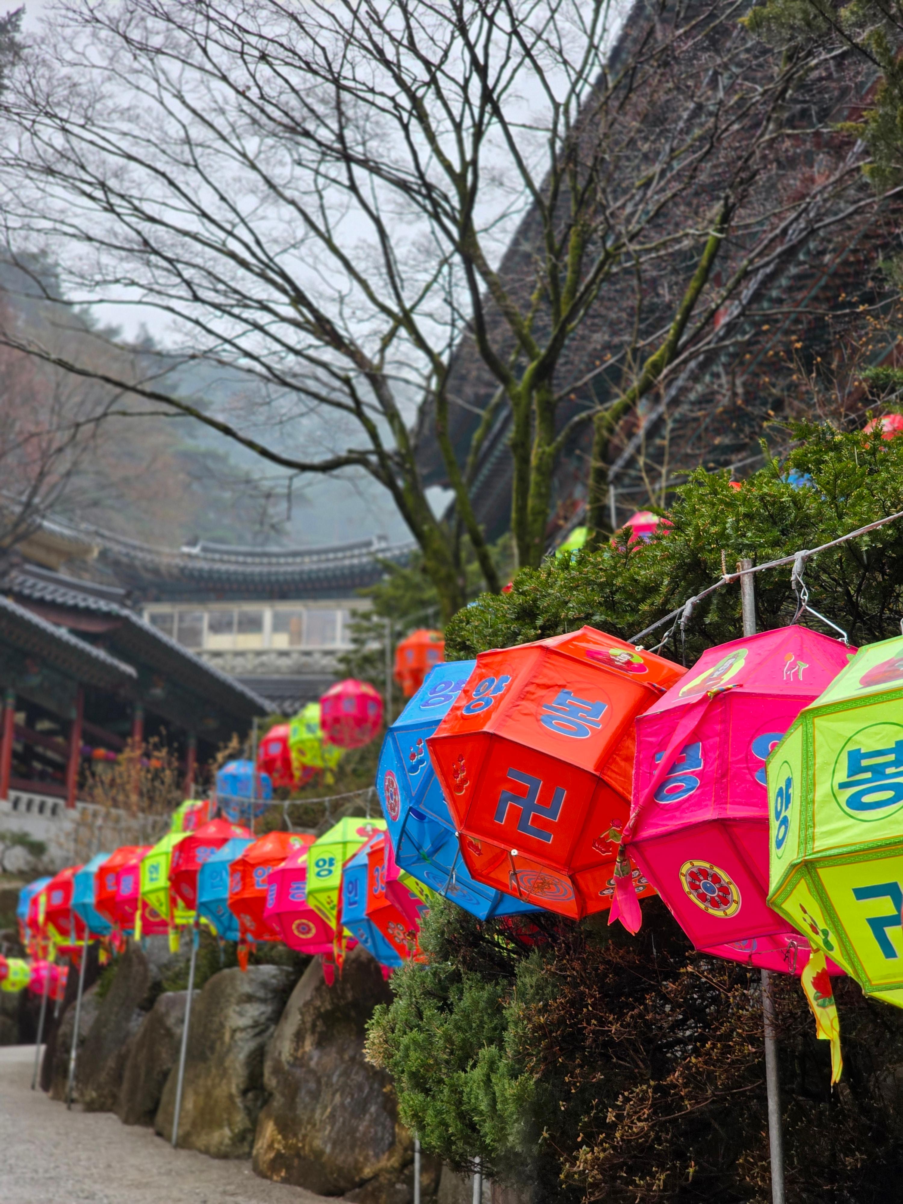 구인사2