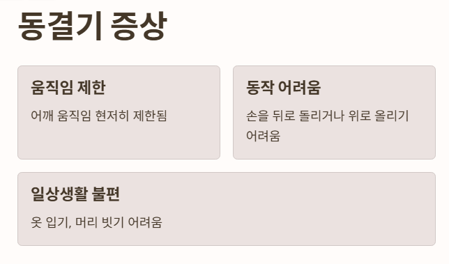 오십견의 주요 증상 동결기