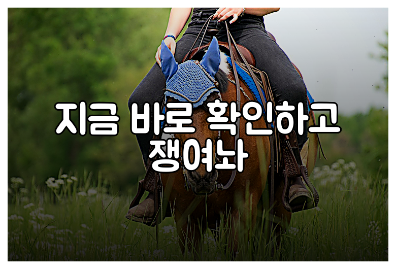 지금 바로 확인하고 쟁여놔