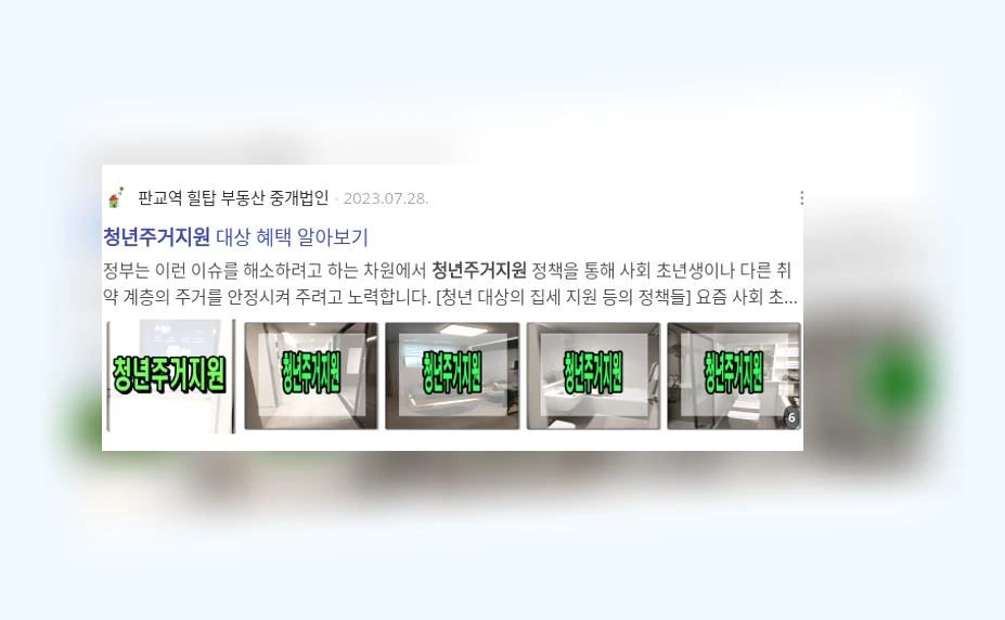 청년 주거 지원_3_subsection