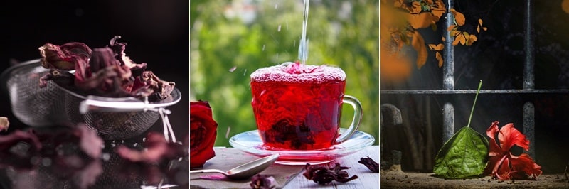 히비스커스 효능