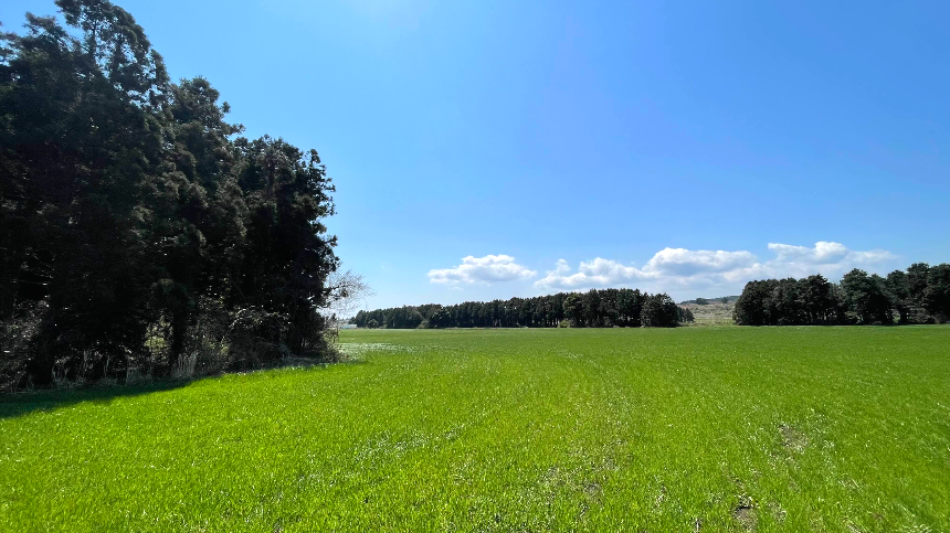 비밀의 숲 목초지5