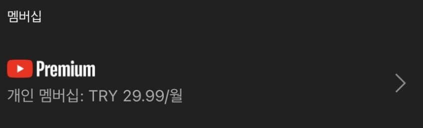 유튜브 터키 우회