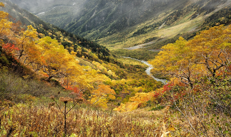 일본 가을여행 숙소비교 이미지