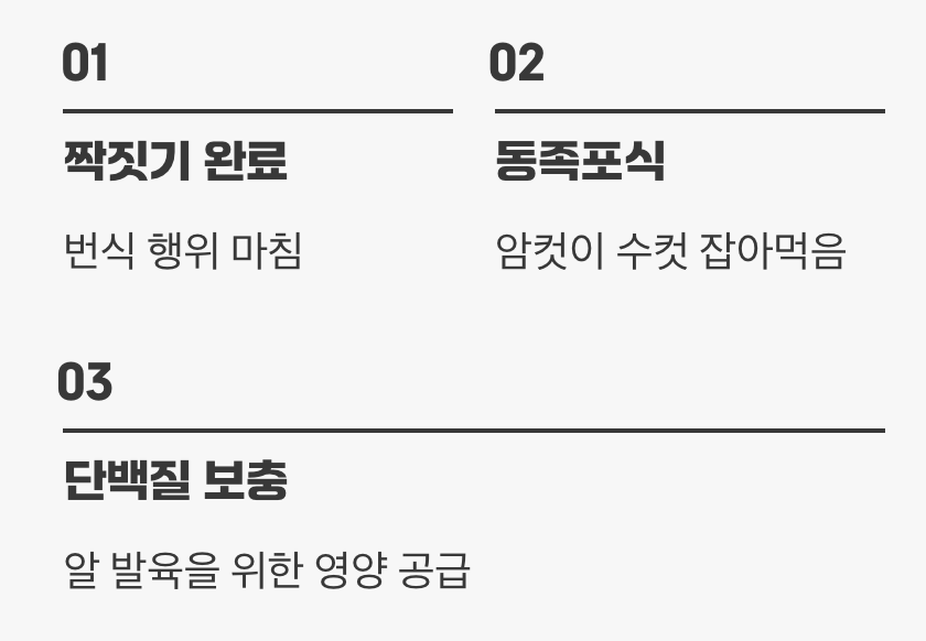 진짜 무서운 건, 암컷의 식성