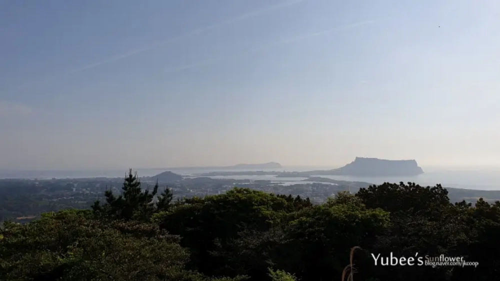 대수산봉 정상 전망 경치