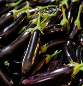 가지 효능 놀라운 9가지 부작용 고르는법 칼로리