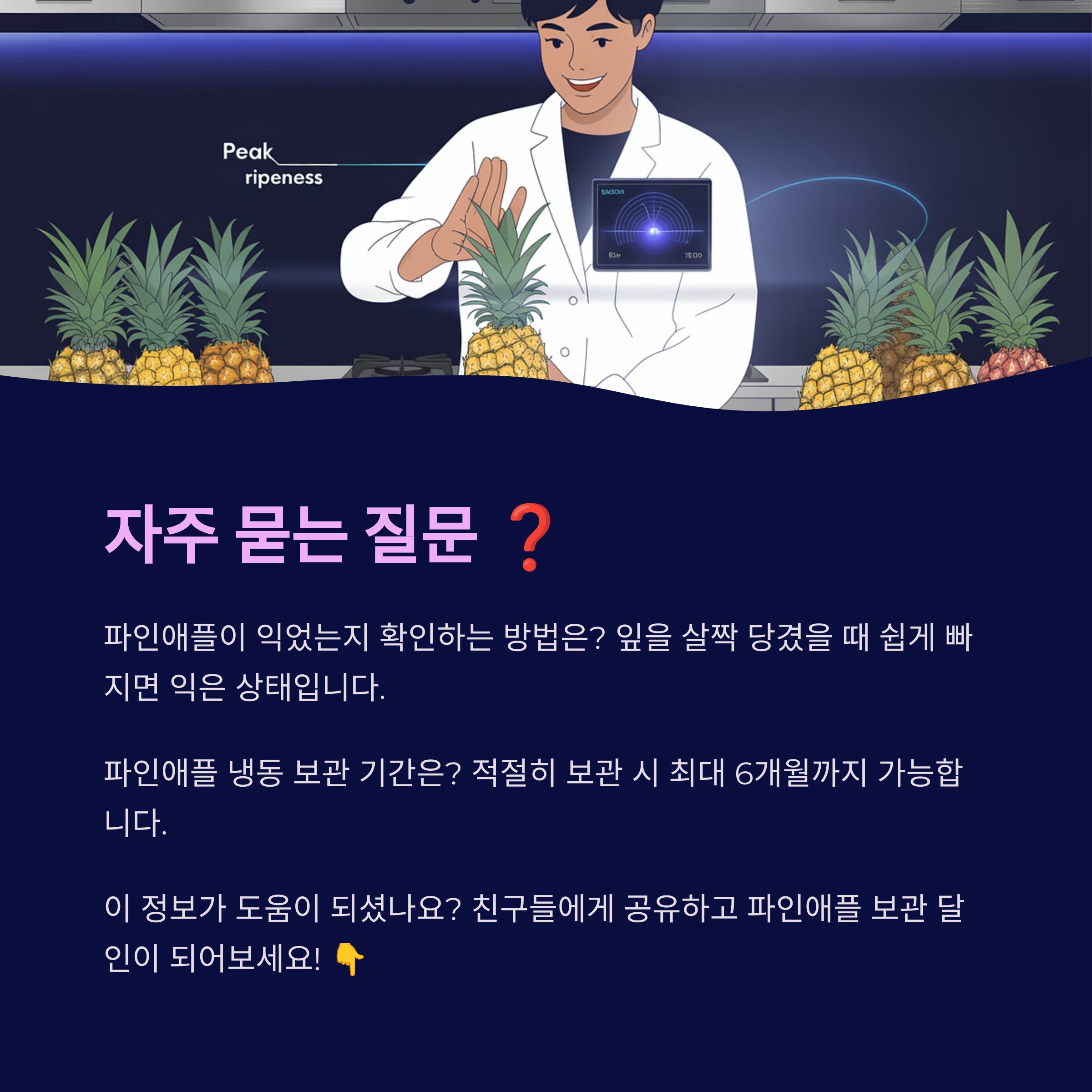 자주 묻는 질문 ❓