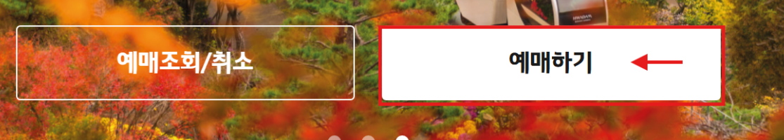 화담숲 모노레일 바로 예약하기