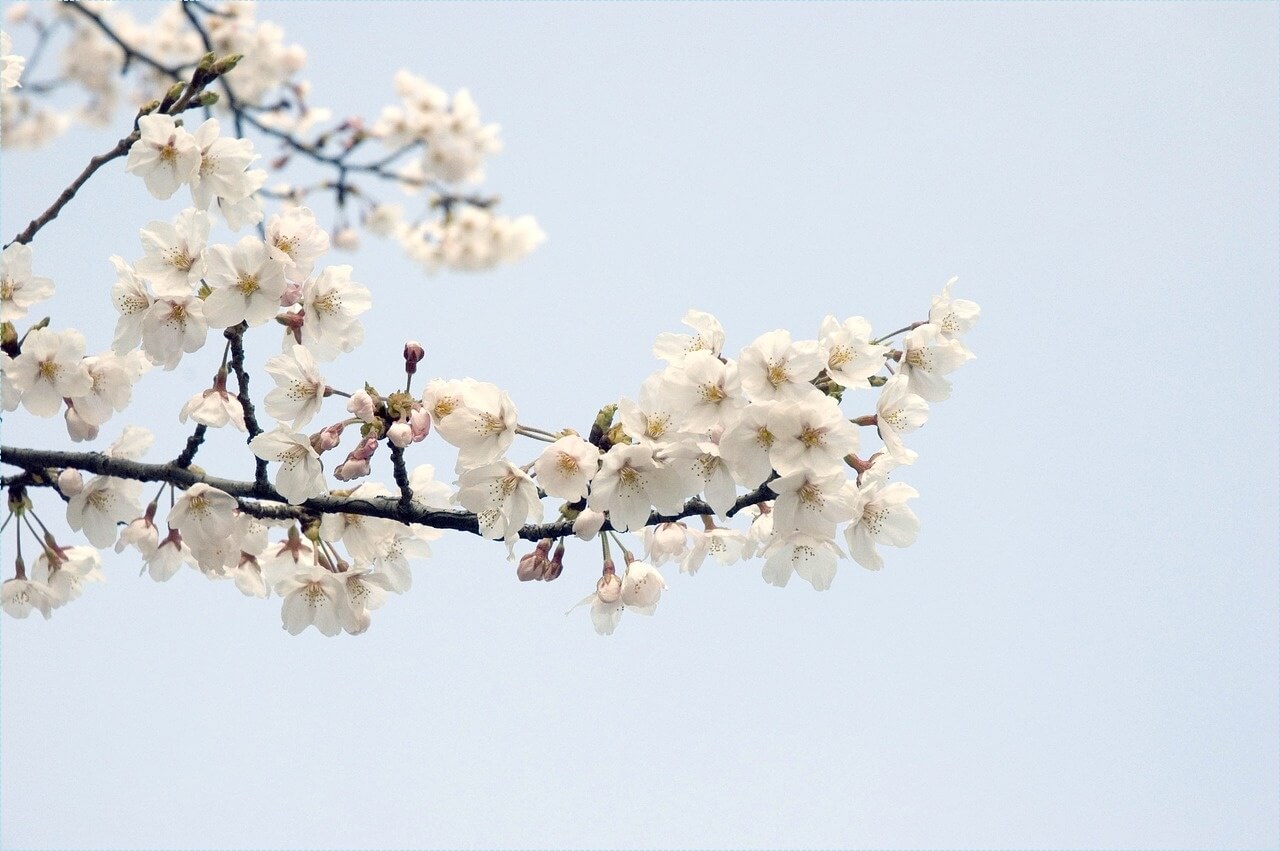 적금 이율 높은 은행