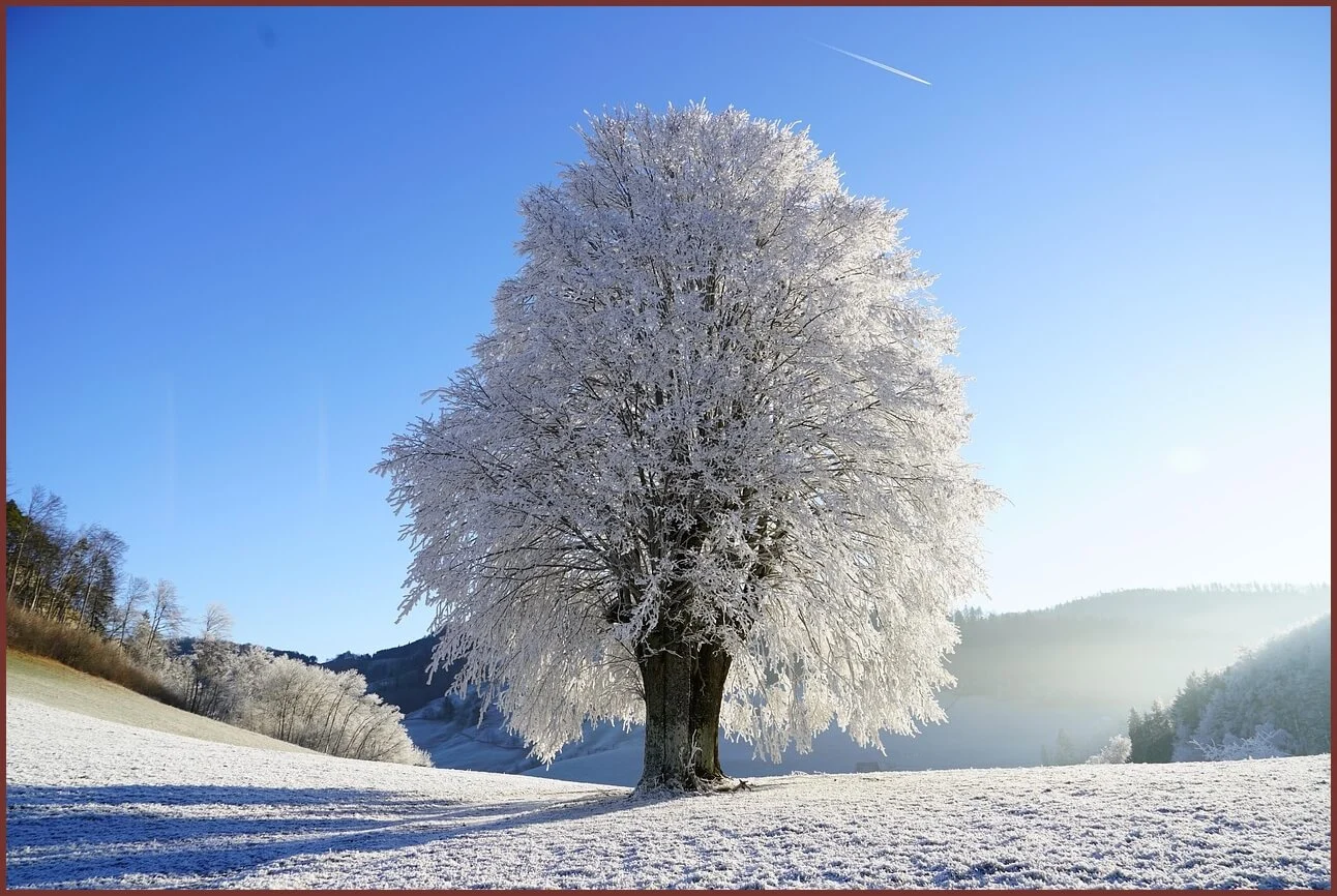 적금 금리 높은곳
