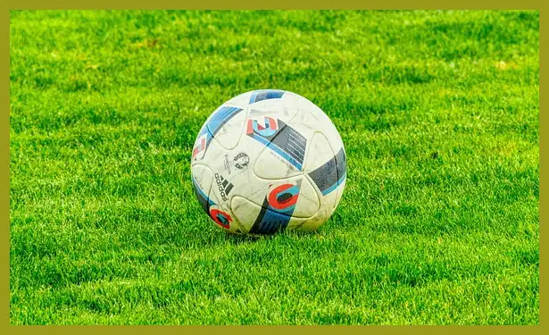 축구 중계방송 바로보기 (한국 팔레스타인)