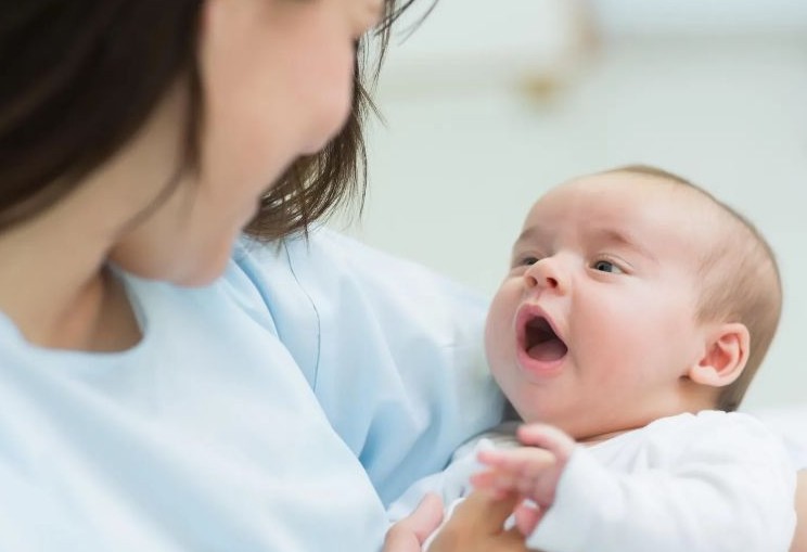 가족이 임신하는 꿈