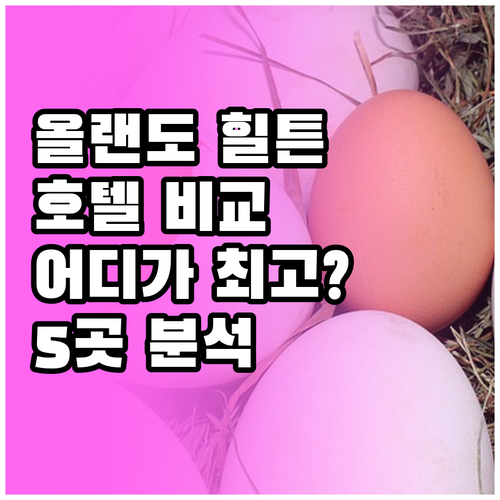 올랜도 힐튼 호텔 5곳 비교분석 어디