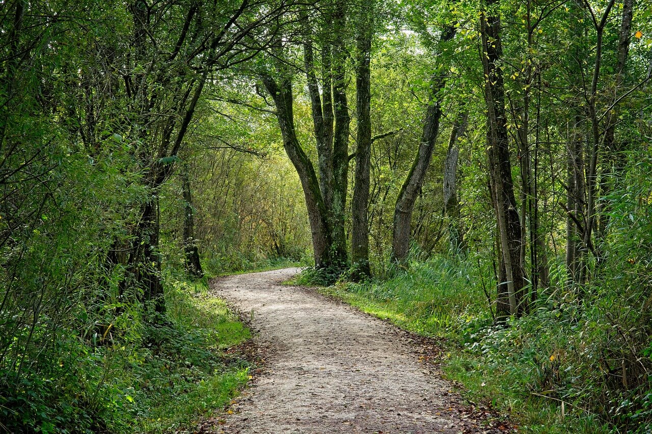 예약방법, 할인알아보기