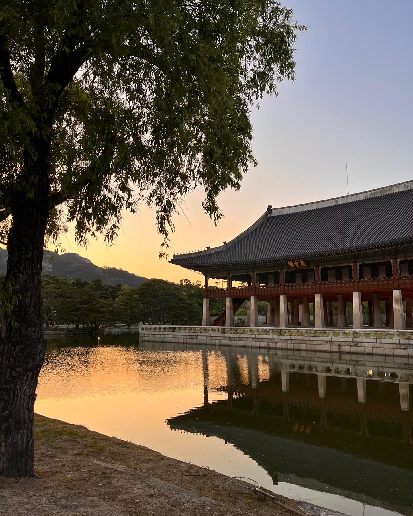 경복궁 야간개장