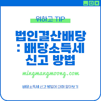 법인 결산배당 - 배당소득세 신고 방법