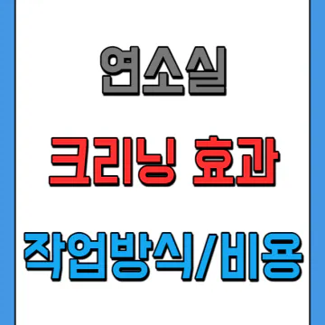 연소실 크리닝 효과와 작업 방식별 비용(흡기 세척)