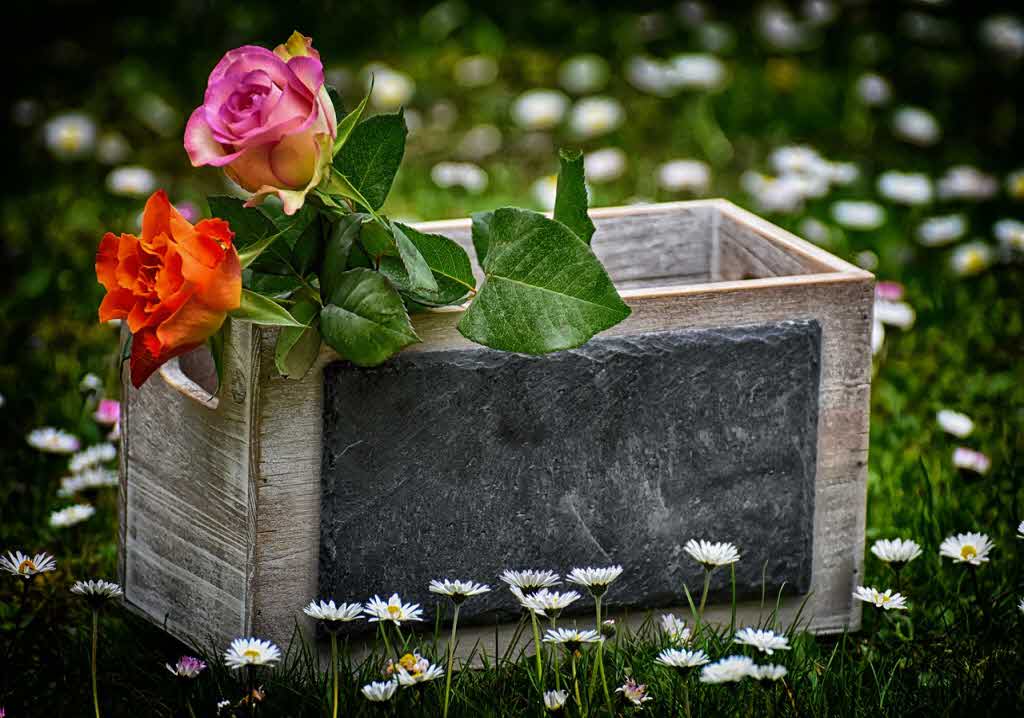 복리 효과: 어떻게 활용할 것인가?