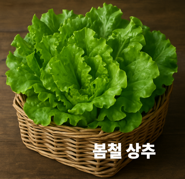 수면질 개선에 효과적인 봄철 상추 효능 영양성분