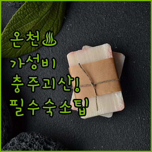 온천 가성비 접근성 충주 괴산 문경 ..