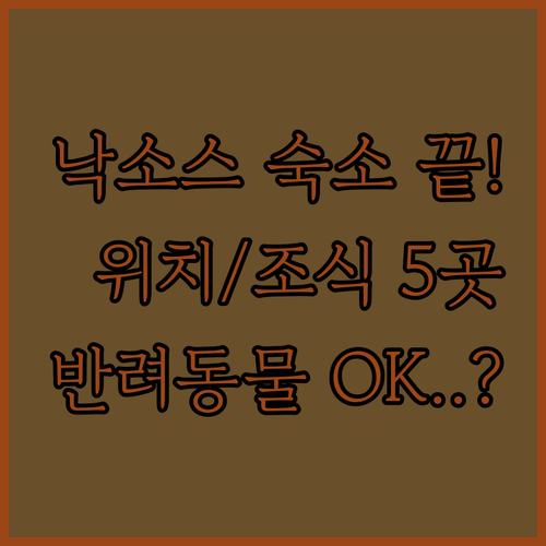 낙소스 여행 숙소 추천 해변 도심 위..