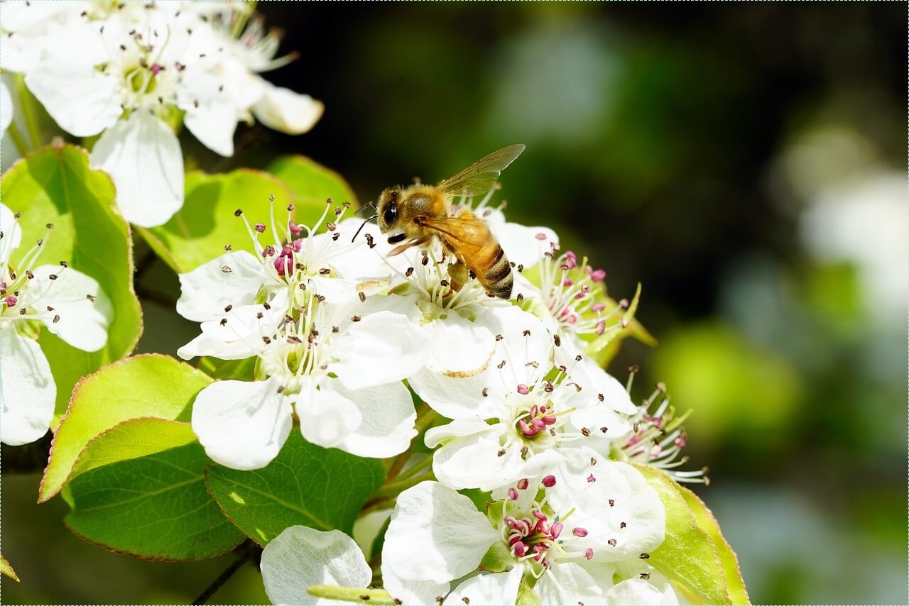 은행 적금 이자 높은곳