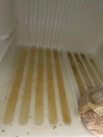 냉장고 청소하는 법 청소법_16