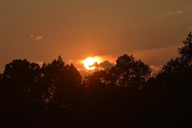 nc 다이노스 감독 구장 연고지 선수명단 주장_4