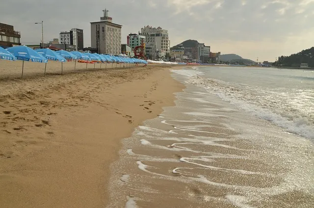 송정 해수욕장 여행 꿀팁 맛집과 서핑포인트 정리_1