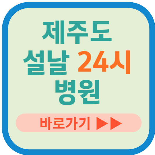 제주도 설날 24시 병원