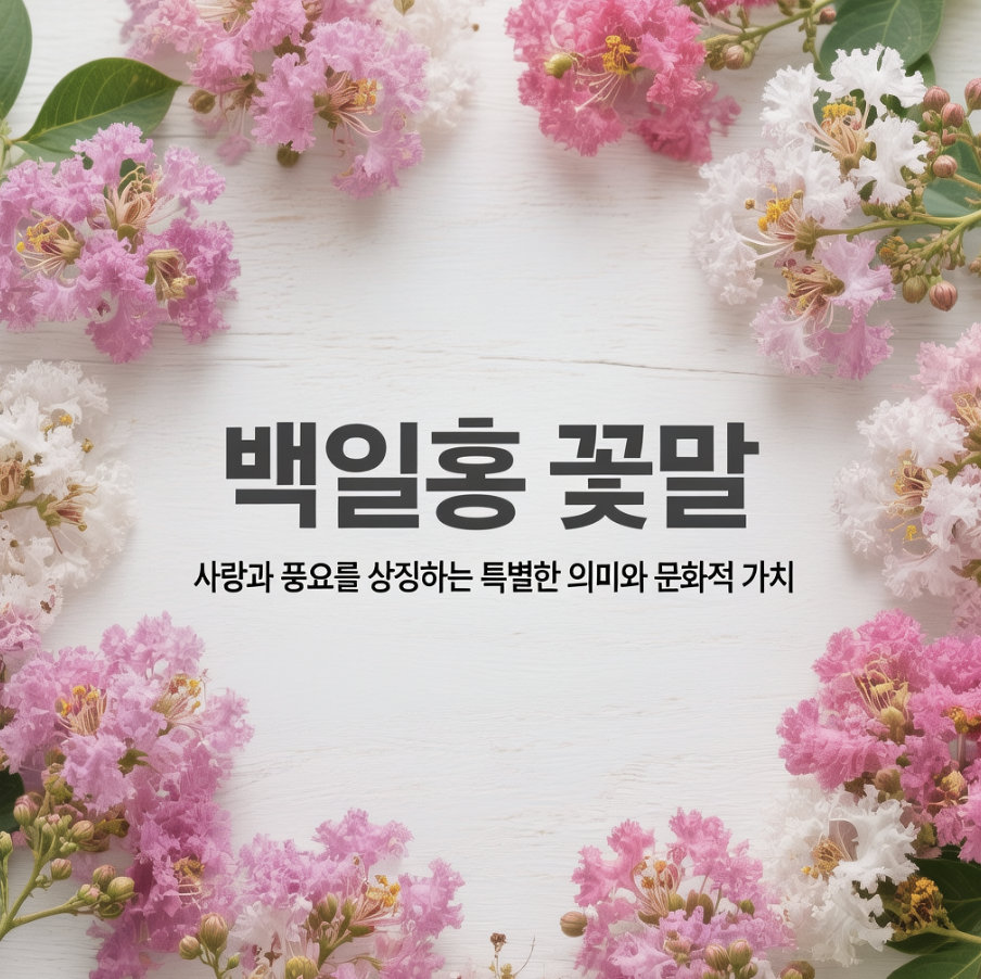 백일홍 꽃말 사랑과 풍요를 상징하는 특별한 의미와 문화적 가치