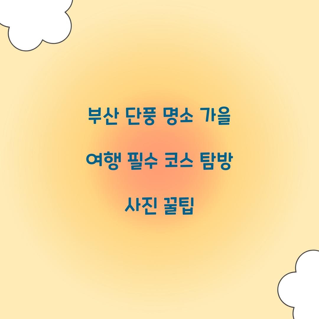 부산 단풍 명소