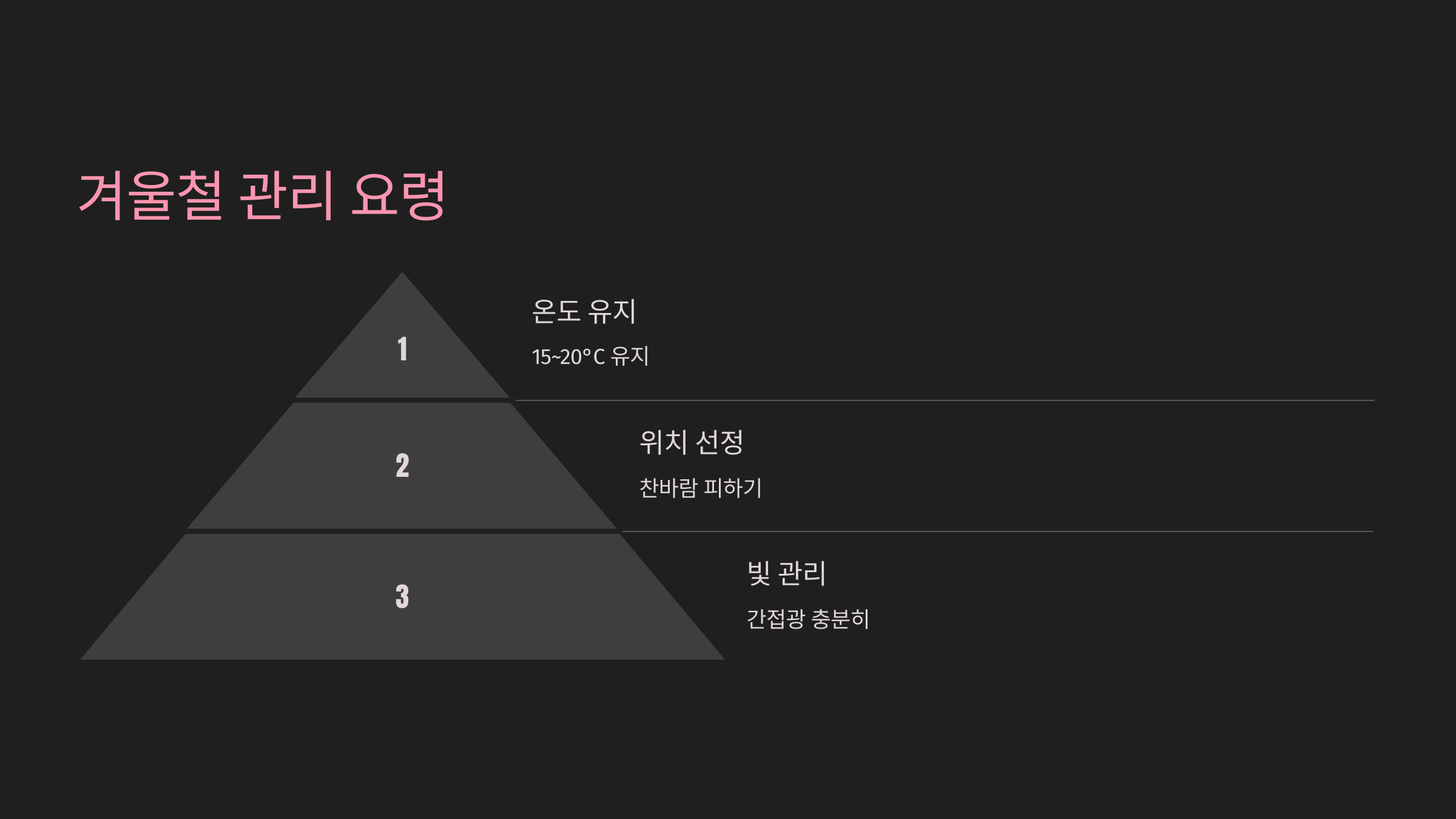 겨울철 포인세티아 관리 요령